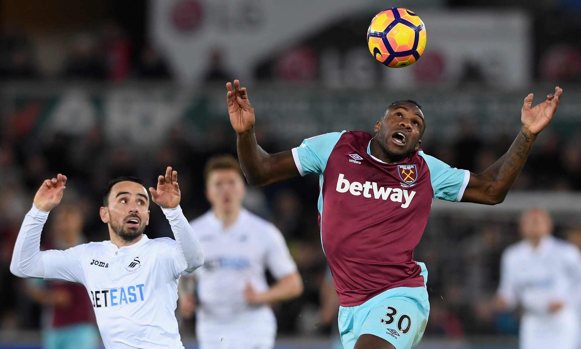 马在处理球 马在处理球