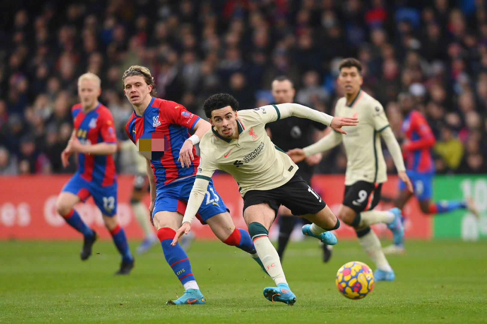 育界的一大 育界的一大